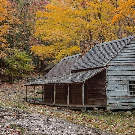 Romantic Mtn Cabin Hot Tub & Jacuzzi Views Sevierville Dış mekan fotoğraf