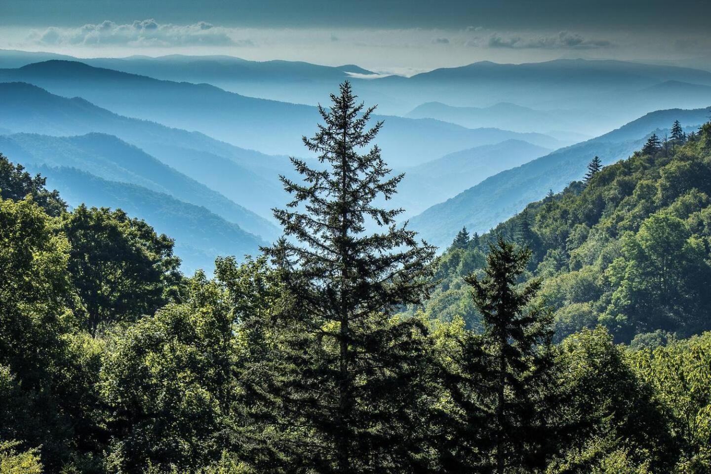Romantic Mtn Cabin Hot Tub & Jacuzzi Views Sevierville Dış mekan fotoğraf